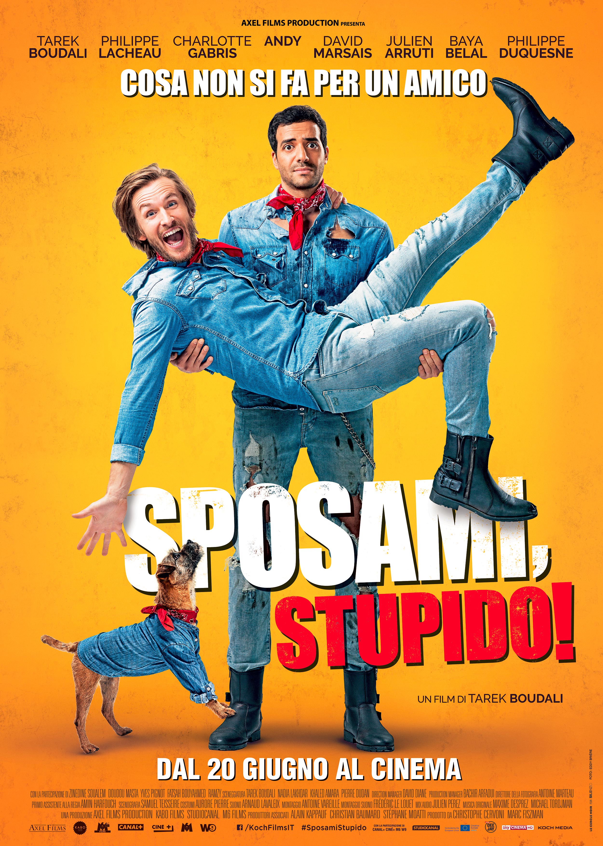 Sposami Stupido